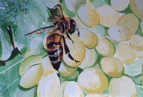 Mural Bee -Sml.jpg